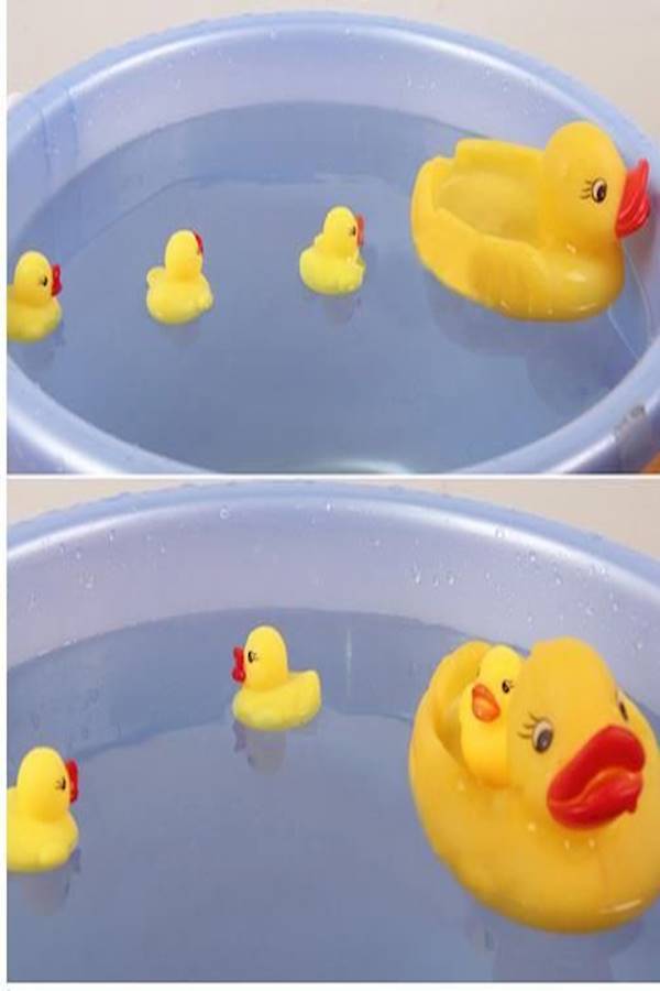 Mummy And Baby Rubber Race Ducks  - Image 5