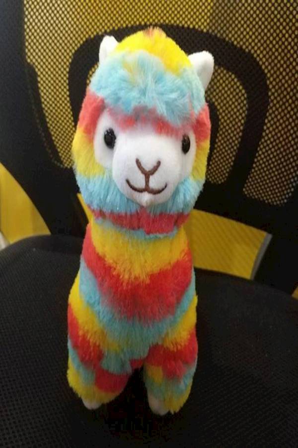 Cotton Stuffed Toy 20cm - Image 4