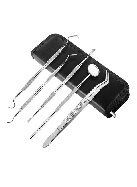 5-Piece Dental Tool Kit Silver 0.142kg