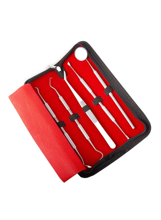 Generic - 5-Piece Dental Tool Kit Silver 0.142kg - Image 1