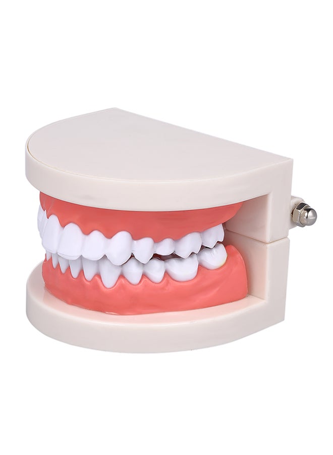Generic Standard Tooth Teaching Medical Educational Model Multicolour 0.136kg  - Image 1