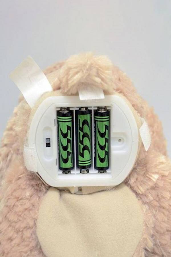 Generic - Peek A Boo Bear Toy - Image 1