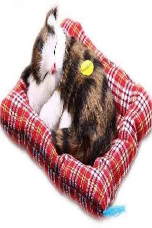 Cat Plush Toy - Image 1