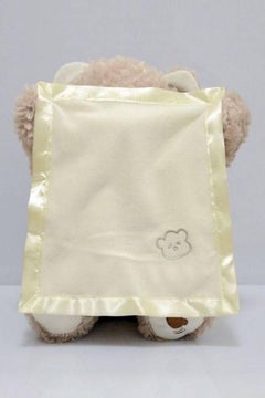 Generic Peek A Boo Bear Toy  - Image 2