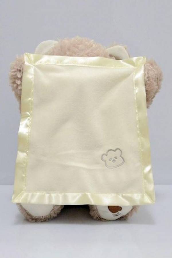Generic - Peek A Boo Bear Toy - Image 1