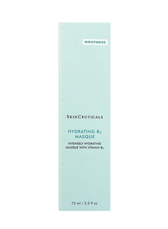 SKINCEUTICALS - Hydrating B5  Masque 75ml - Image 1