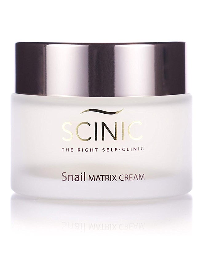SCINIC - Snail Matrix Cream - Image 1