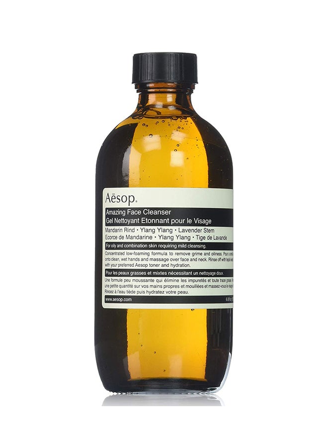 أيسوب منظف وجه رائع، 6.8 أوقيات