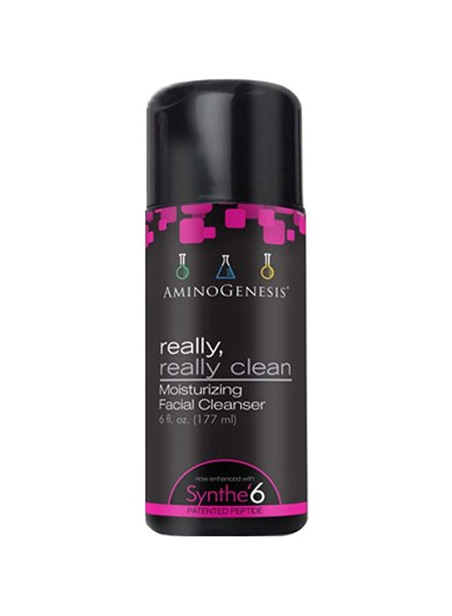 Really Really Clean Cleanser, 6 ounce