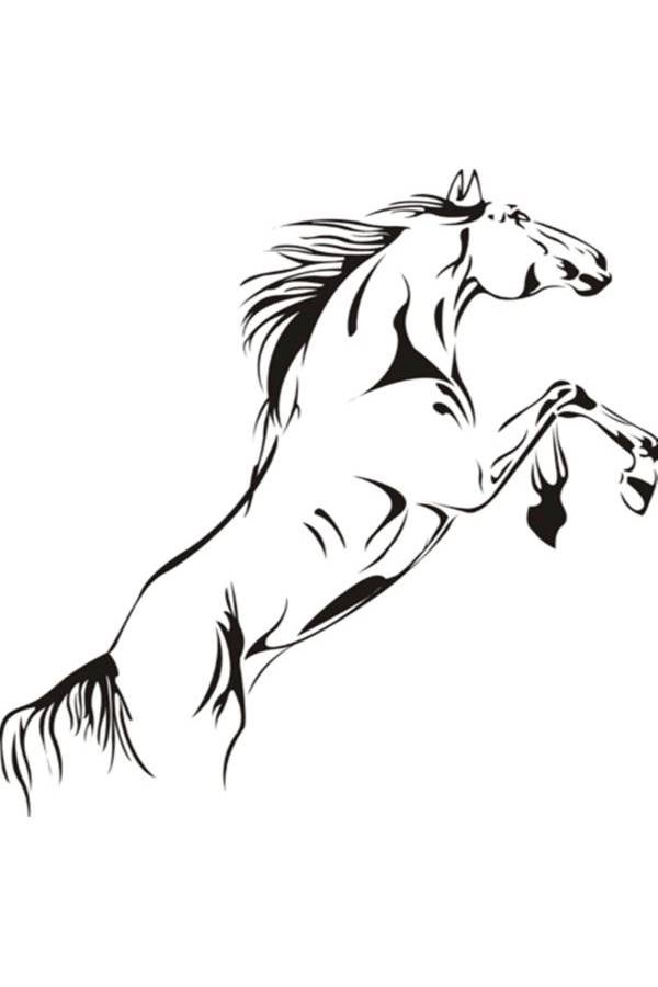 Generic - Home Decor Removable Wall Stickers Multicolour - Image 1