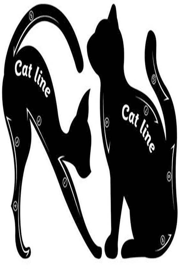 محدد عيون على شكل قطة من زوج واحد