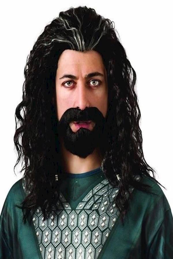 The Hobbit Thorin Hair Costume Kit