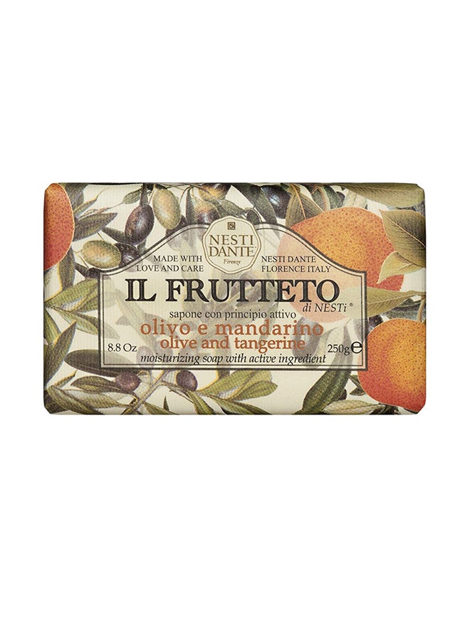 IL Frutteto Olive And Tangerine Soap 250grams - v1555567870/N23800862A_1