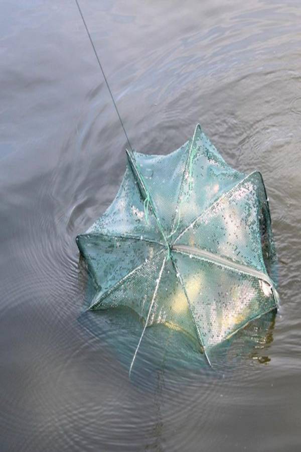 Generic - 12 Hole Folded Fishing Net - Image 1