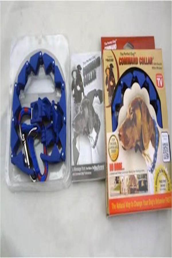 سلسلة طوق رقبة للكلاب قابلة للتعديل أزرق - Image 3