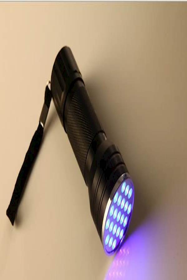21LEDs Flashlights Ultra Violet Uv Flashlight Aaa Battery Powe LED Flashlight Light For Scorpions Cash Detection-Xx - Image 2