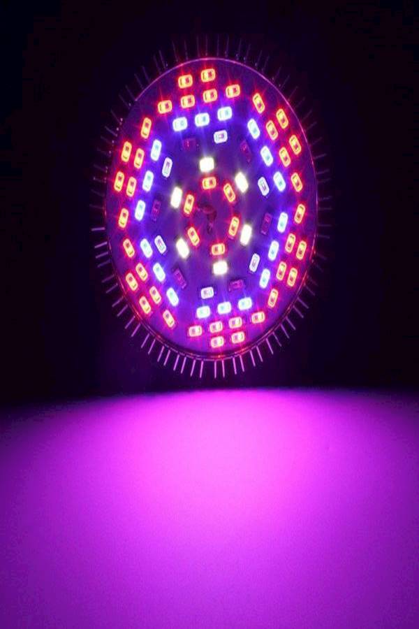 Lifx 30W 78 LED Lamp Plant Grow Light Full Spectrum Indoor Plant Lamp 106grams  - Image 2