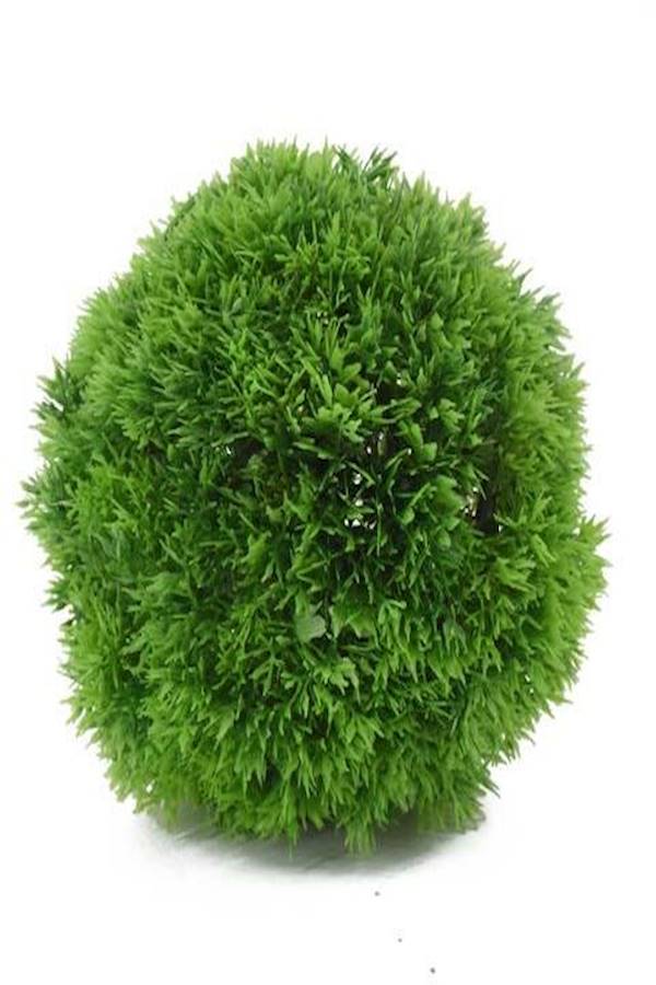 كورة خضار صناعي حجم وسط - Image 1
