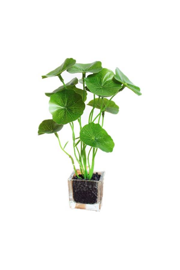Generic Artificial Faux  plant Pots leaves Wedding Fake Creative Bonsai Home Decor for House Office Restaurant Table Green  - Image 1