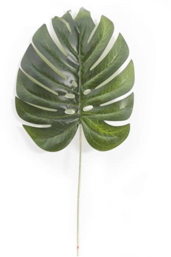 Artificial Leaf - Image 1