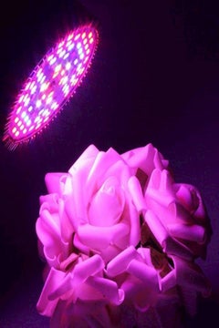 Lifx 30W 78 LED Lamp Plant Grow Light Full Spectrum Indoor Plant Lamp 106grams  - Image 4