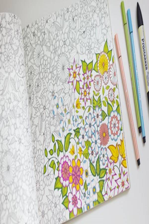 Generic Secret Garden- An Inky Treasure Hunt & Colouring Book  - Image 1