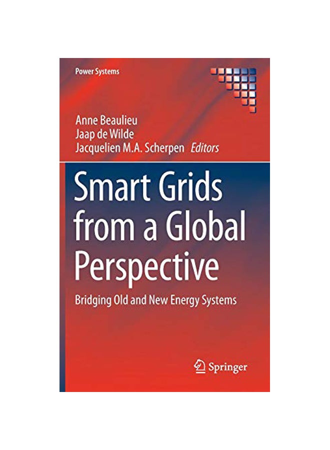 Smart Grids From A Global Perspective hardcover english - 28th March 2018 