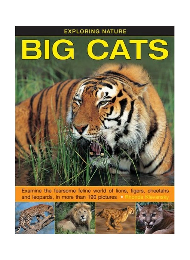 Exploring Nature: Big Cats hardcover english - 07 Feb 2015
