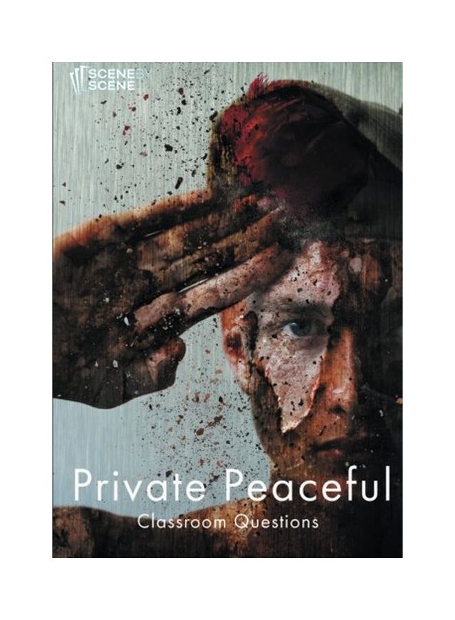 Private Peaceful Classroom Questions paperback english - 19 Sep 2015