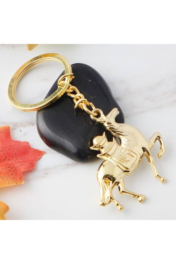 Generic Zinc Metal Hose Key Holder Casual Fashion Gold Key Chain - Image 2