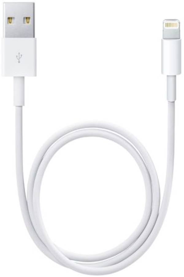 Generic - USB Lightning Cable Data Sync Charger For Iphone Ipod Ipad 1M - Image 1