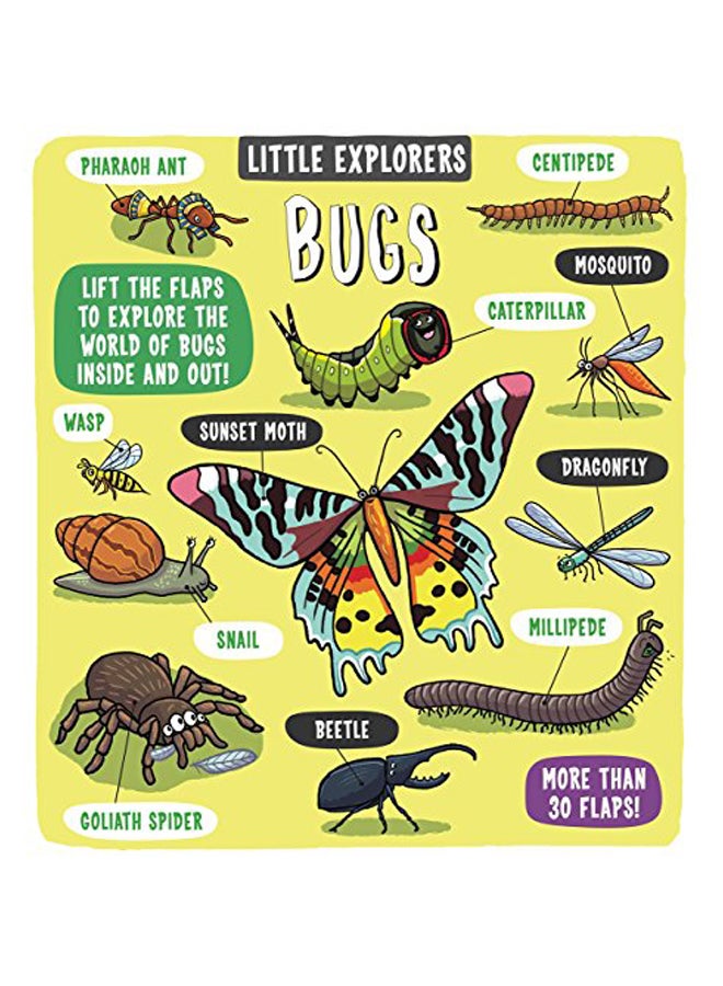 Little Explorers: Bugs hardcover english - 05 Apr 2018 