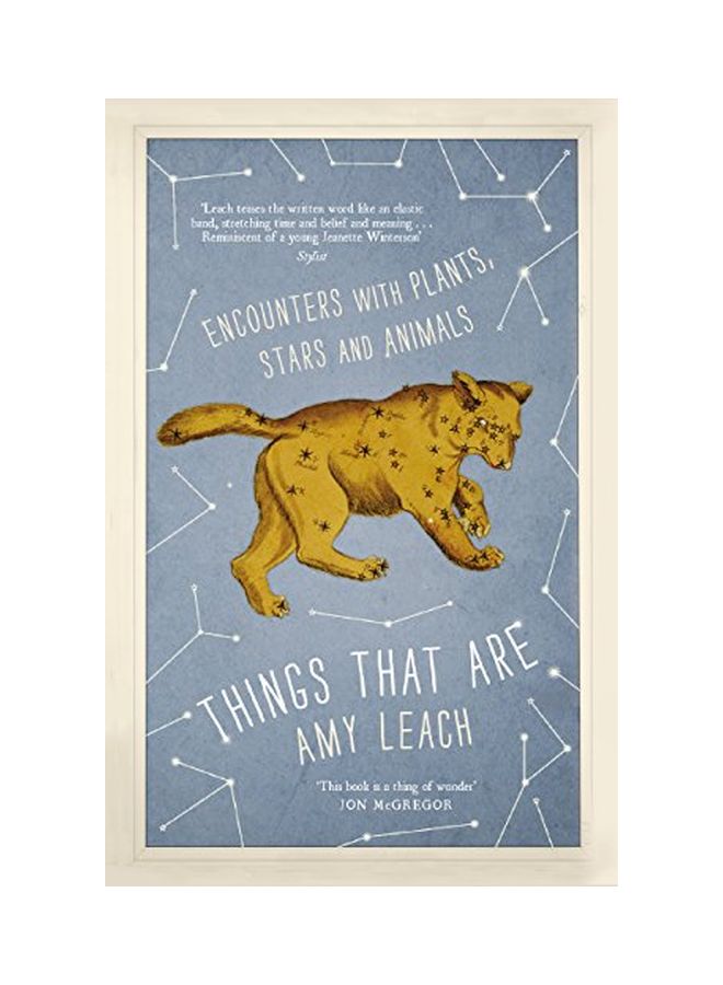 Things That Are: Encounters With Plants, Stars And Animals Paperback English by Amy Leach - 01 December 2017 