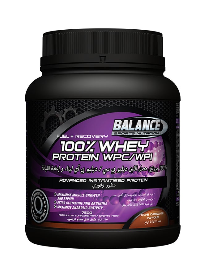 100% Whey Protein Wpc/Wpi Chocolate Powder