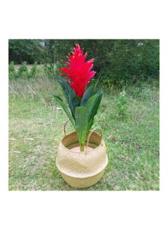 Generic Woven Foldable Vase Hanging Basket Beige  - Image 4