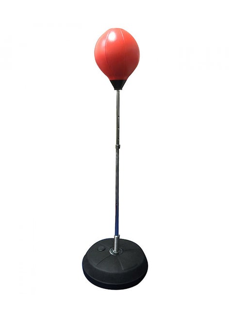 Punching Ball Set With Glove and Pump
