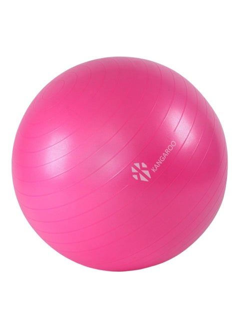 Yoga Ball With  Pump 65cm