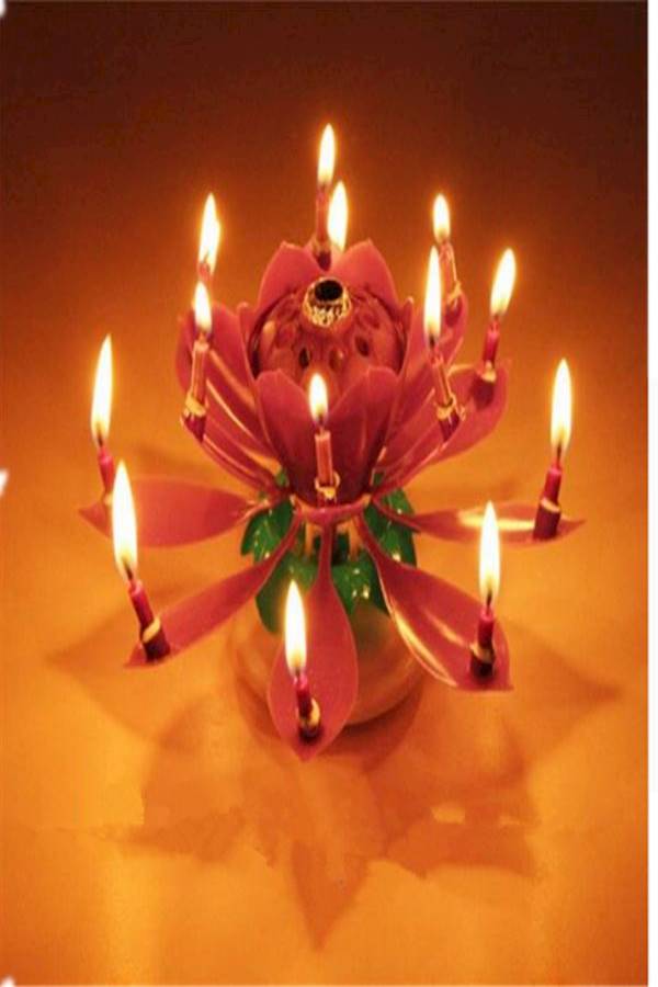 Generic Rotating Lotus Flower Musical Candle 6 x 11cm  - Image 4