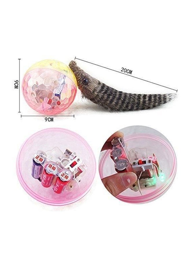 null - LED Lighting Beavers Weasel Ball Converting To Tail In A Bag Toy - Image 1