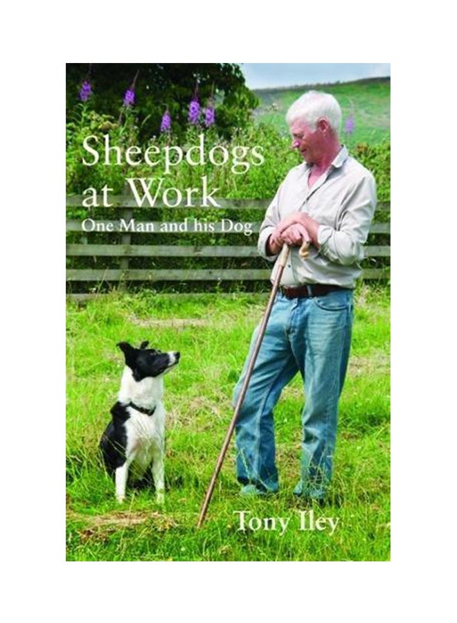 Sheepdogs at Work Paperback English by Tony Iley - 2017 