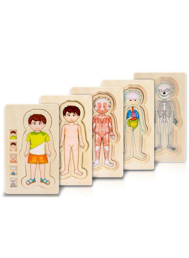 جو باي بازل تركيب الصور المقطعة من الخشب بتصميم بنية الجسم مكون من 5 طبقات - Image 2