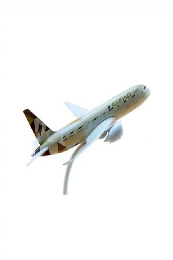 Artemis Aviation Etihad Airplane Statue B787 20centimeter  - Image 1