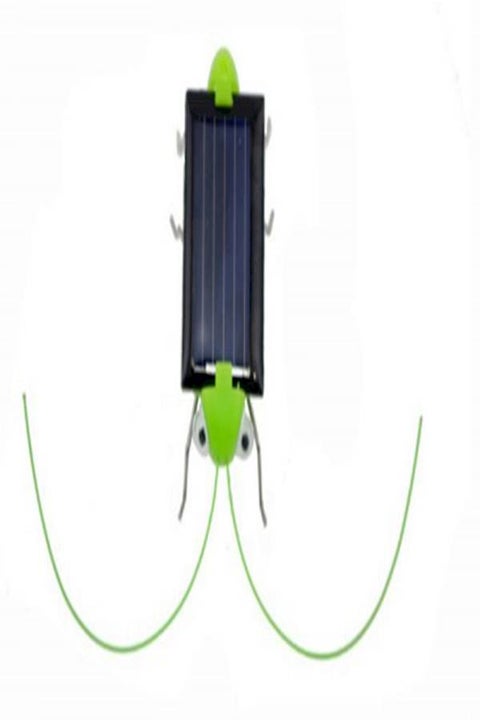 Solar Powered Grasshopper Learning Toy