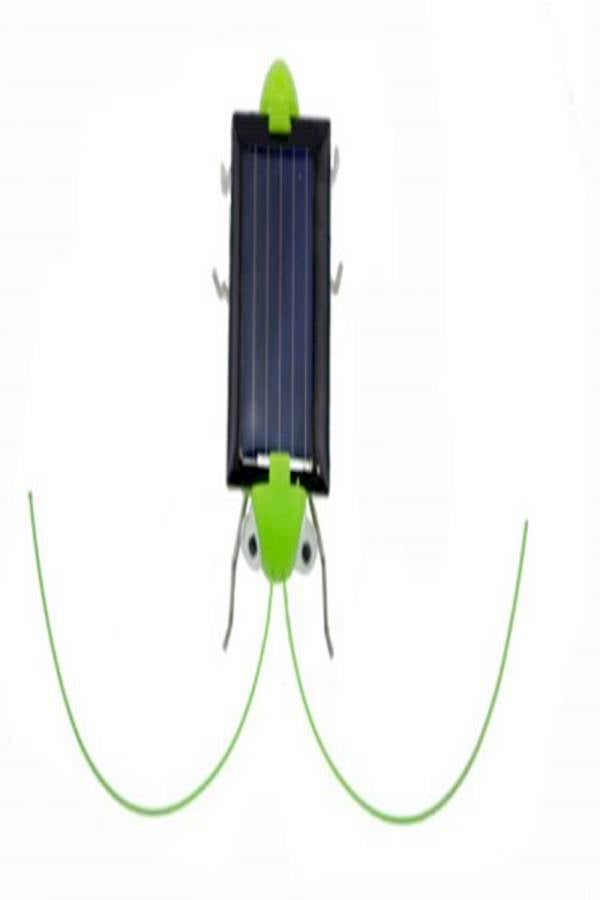 Solar Powered Grasshopper Learning Toy  - Image 1
