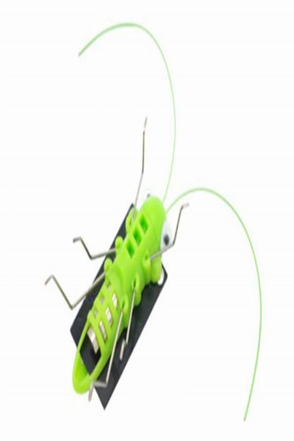 Solar Powered Grasshopper Learning Toy  - Image 2