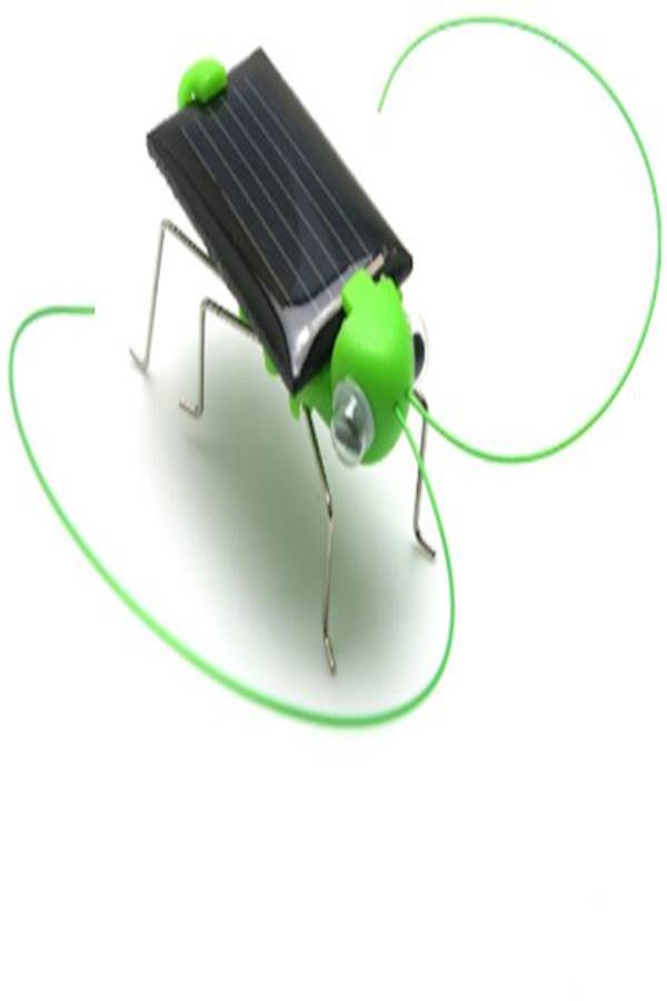 Solar Powered Grasshopper Learning Toy  - Image 3