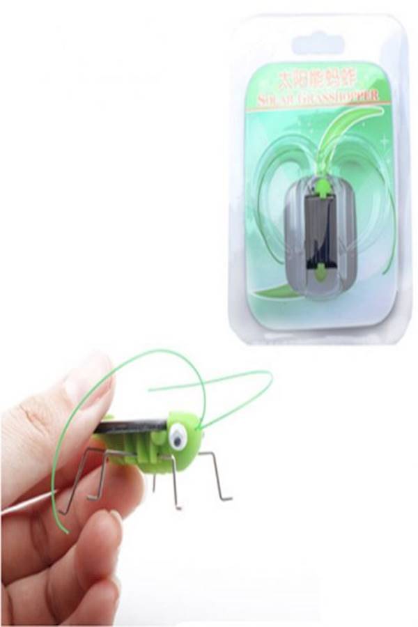 Solar Powered Grasshopper Learning Toy  - Image 4