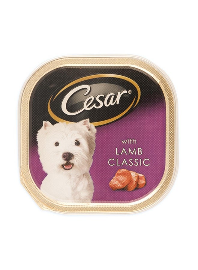 سيزار طعام للكلاب بطعم لحم الضأن