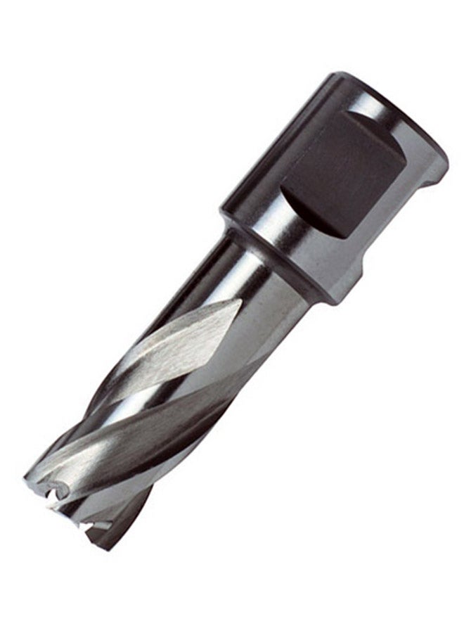 DEWALT Pin - Hole Cutter Silver