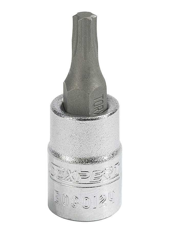EXPERT Torx Bit Socket Silver